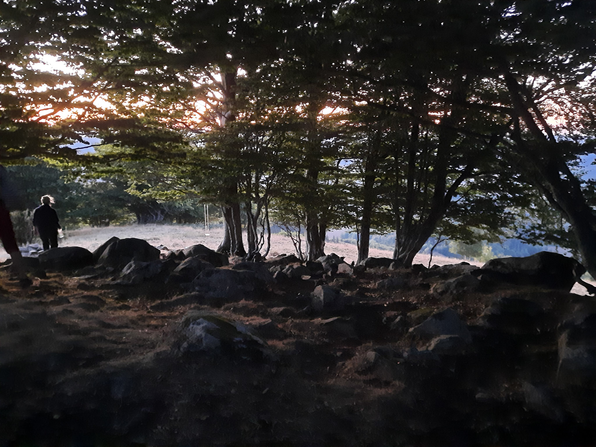 20220813210849 20220813 210849